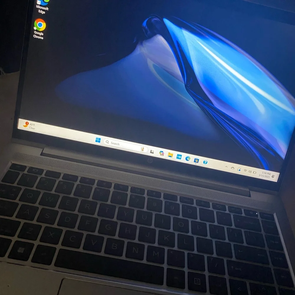 HP Gray Laptop